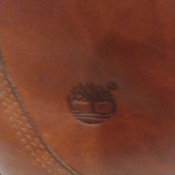 Timberland - Picture 6 of 7